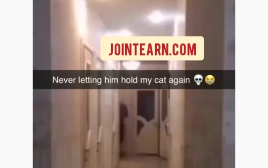 The cat ran for his dear life🤣